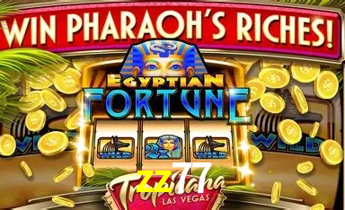 Tecnologia da Plataforma zz77